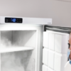 freezer vestfrost